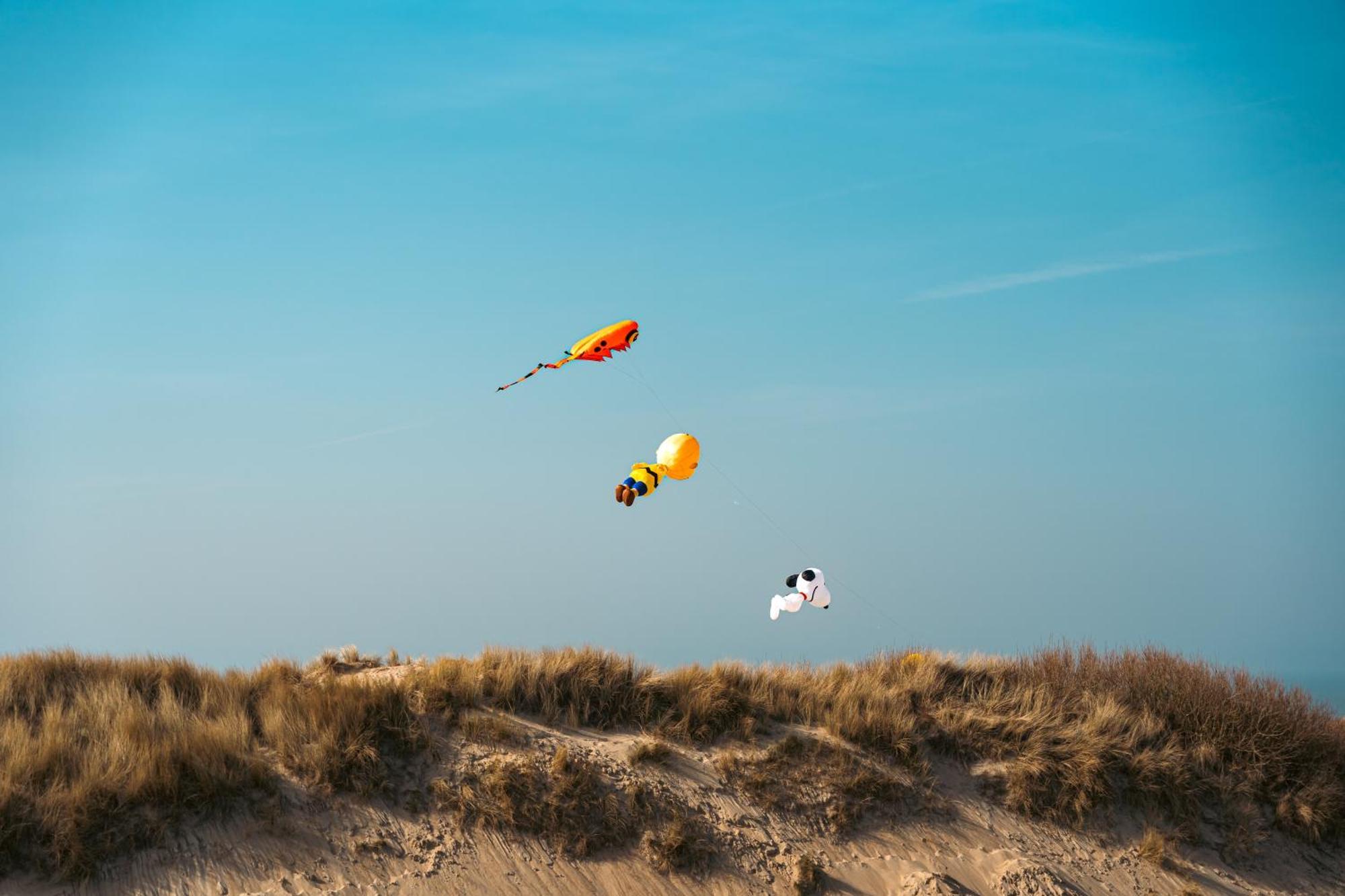 Boutique Resort Schaardijk Vakantiewoning Scharendijke Kültér fotó